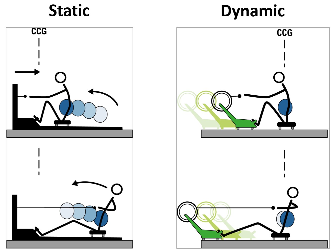 Science of Dynamic Rowing